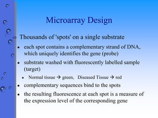 Measuring Gene Expression | PPTX