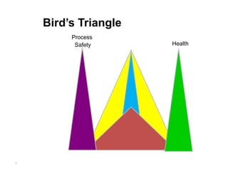 30
Bird’s Triangle
Process
Safety Health
 
