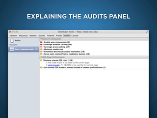 EXPLAINING THE AUDITS PANEL
 