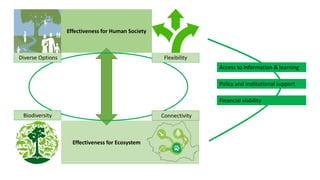 Effectiveness for Human Society
Effectiveness for Ecosystem
Biodiversity Connectivity
Diverse Options Flexibility
Access t...