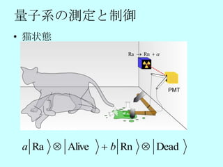 量子系の測定と制御
• 猫状態
                    Ra  Rn  




                                  PMT




 a Ra  Alive    b Rn  Dead
 