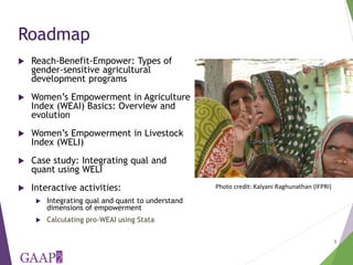 Measuring empowerment in agricultural development projects using WEAI and WELI