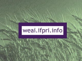 Measuring empowerment in agricultural development projects using WEAI and WELI