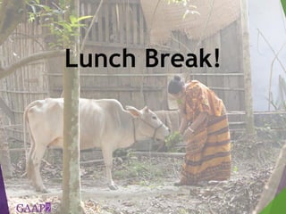 Measuring empowerment in agricultural development projects using WEAI and WELI