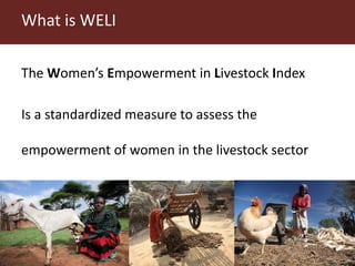 Measuring empowerment in agricultural development projects using WEAI and WELI