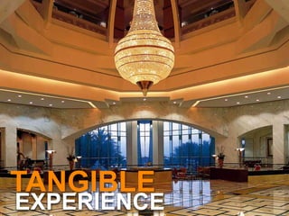 TANGIBLE
EXPERIENCE
 
