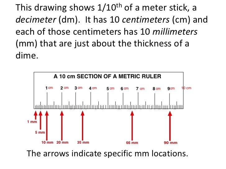 ruler stick measurements