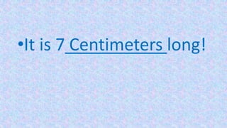 Measuring length | PPTX