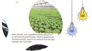 Measuring light intensity with light meter