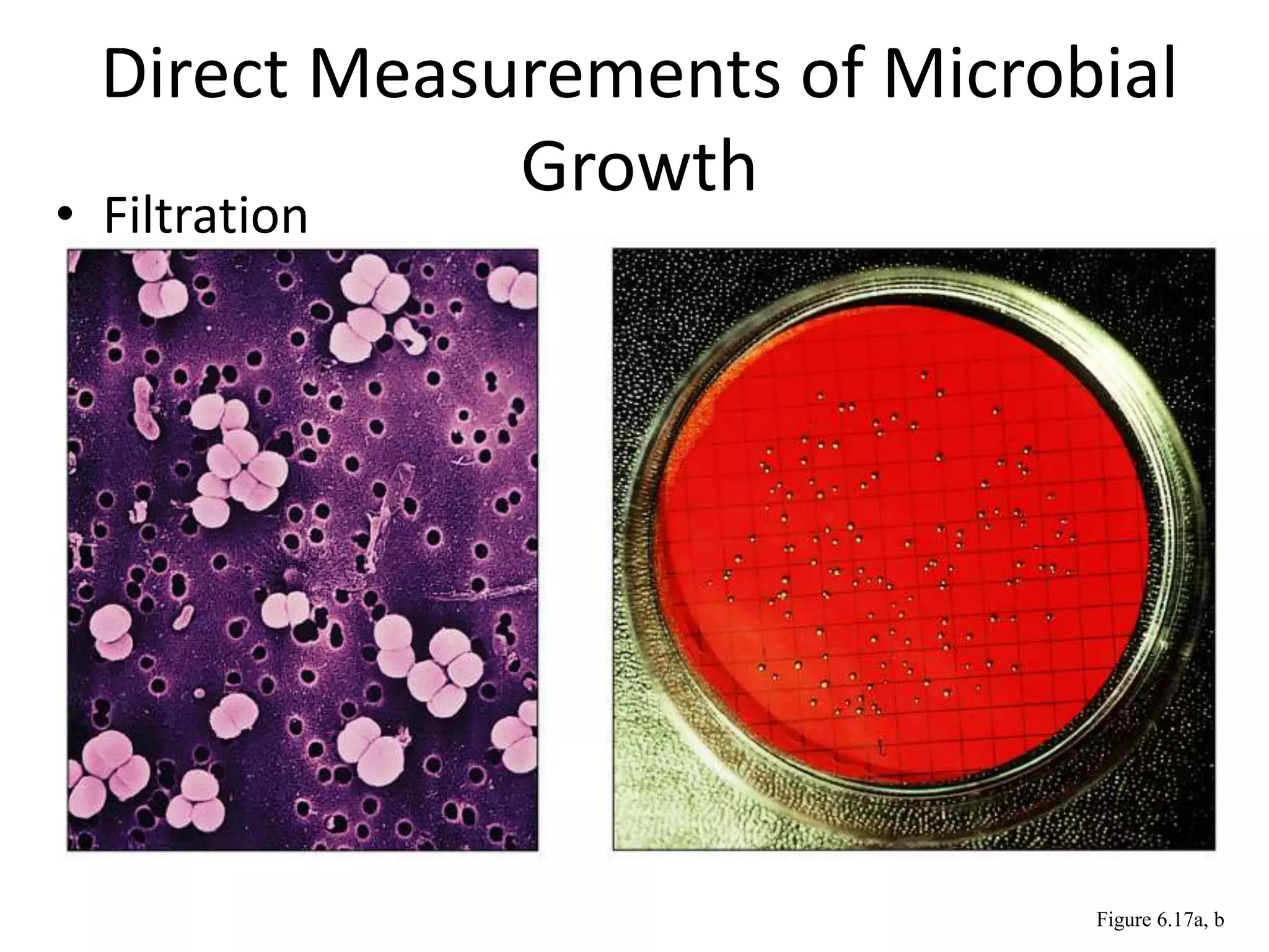 Direct Measurements of Microbial
Growth
• Filtration
Figure 6.17a, b
 