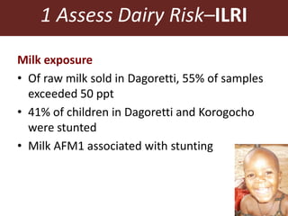 1 Assess Dairy Risk–ILRI
Milk exposure
• Of raw milk sold in Dagoretti, 55% of samples
exceeded 50 ppt
• 41% of children in Dagoretti and Korogocho
were stunted
• Milk AFM1 associated with stunting
 