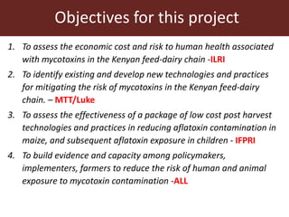 Objectives for this project
1. To assess the economic cost and risk to human health associated
with mycotoxins in the Kenyan feed-dairy chain -ILRI
2. To identify existing and develop new technologies and practices
for mitigating the risk of mycotoxins in the Kenyan feed-dairy
chain. – MTT/Luke
3. To assess the effectiveness of a package of low cost post harvest
technologies and practices in reducing aflatoxin contamination in
maize, and subsequent aflatoxin exposure in children - IFPRI
4. To build evidence and capacity among policymakers,
implementers, farmers to reduce the risk of human and animal
exposure to mycotoxin contamination -ALL
 
