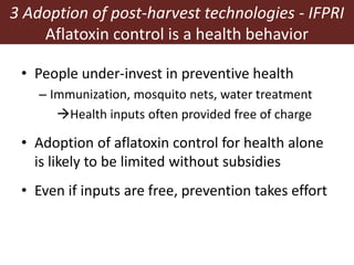 Measuring and mitigating the risk of mycotoxins in maize and dairy products for poor consumers in Kenya