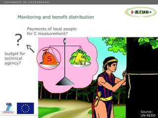 Measuring of carbon stocks