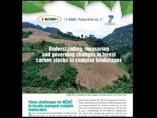Measuring of carbon stocks