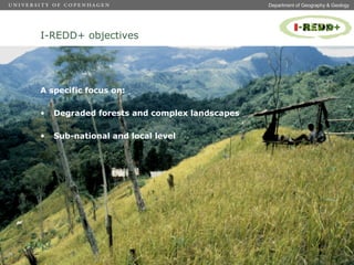 Measuring of carbon stocks