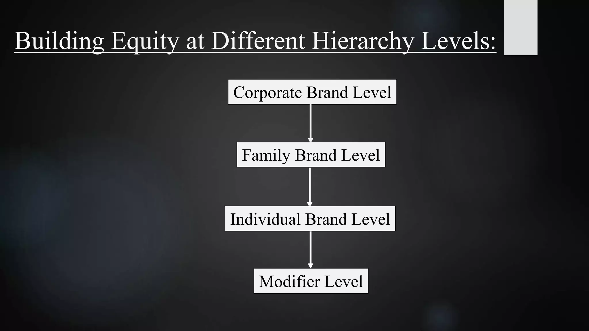 Building Equity at Different Hierarchy Levels:
Corporate Brand Level
Family Brand Level
Individual Brand Level
Modifier Level
 