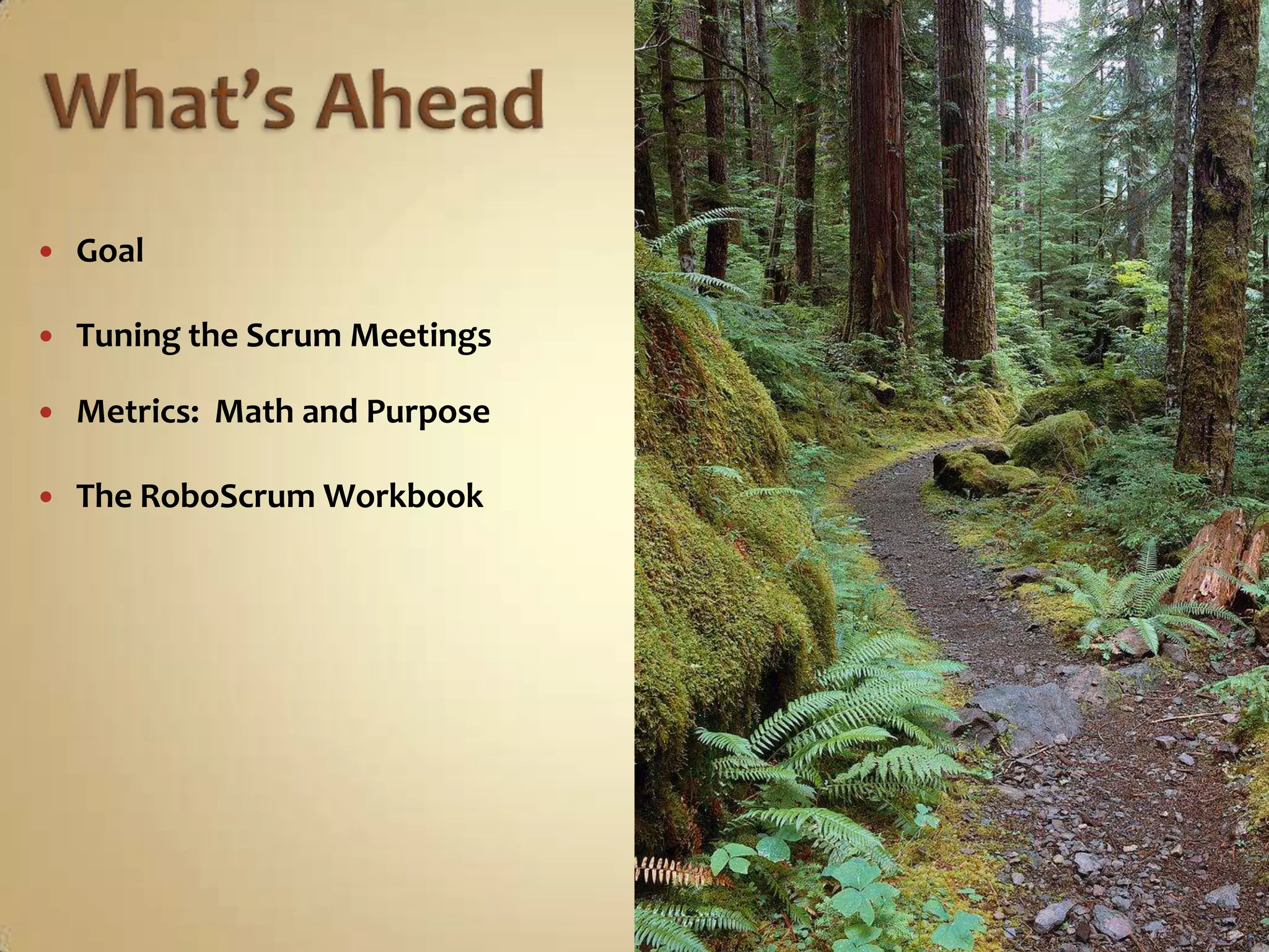 What’s AheadGoalTuning the Scrum MeetingsMetrics:  Math and PurposeThe RoboScrum Workbook