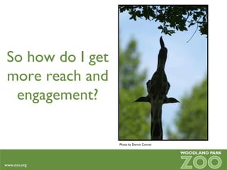 So how do I get more reach and engagement? Photo by Dennis Conner 