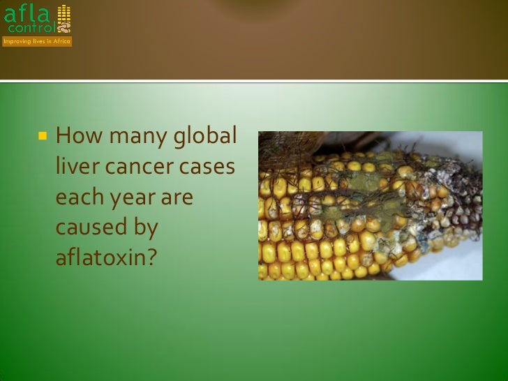 Measuring the burden of aflatoxin induced human disease