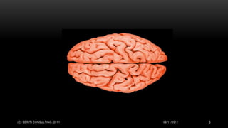 (C) SERITI CONSULTING, 2011   08/11/2011   3
 