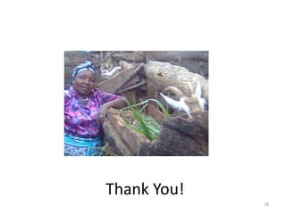 Measuring women's empowerment in Tanykina and Sot dairies of Nandi and Bomet Counties, Kenya