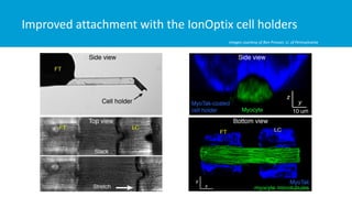 Ionoptix Examples Measuring Work in Single Isolated Cardiomyocytes: Replicating the ...