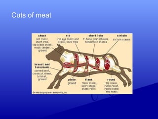 Cuts of meat
 
