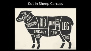 Cut in Sheep Carcass
 