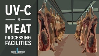 UV-C in Meat Processing Facilities