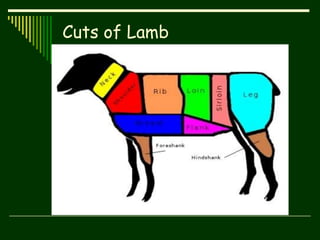 Cuts of Lamb
 