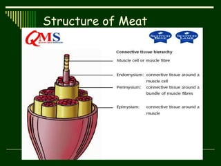 Structure of Meat
 