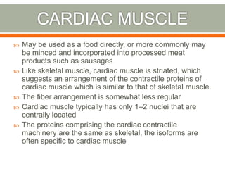  May be used as a food directly, or more commonly may
be minced and incorporated into processed meat
products such as sausages
 Like skeletal muscle, cardiac muscle is striated, which
suggests an arrangement of the contractile proteins of
cardiac muscle which is similar to that of skeletal muscle.
 The fiber arrangement is somewhat less regular
 Cardiac muscle typically has only 1–2 nuclei that are
centrally located
 The proteins comprising the cardiac contractile
machinery are the same as skeletal, the isoforms are
often specific to cardiac muscle
 