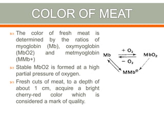 The color of fresh meat is
determined by the ratios of
myoglobin (Mb), oxymyoglobin
(MbO2) and metmyoglobin
(MMb+)
 Stable MbO2 is formed at a high
partial pressure of oxygen.
 Fresh cuts of meat, to a depth of
about 1 cm, acquire a bright
cherry-red color which is
considered a mark of quality.
 