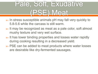  In stress susceptible animals pH may fall very quickly to
5.8-5.6 while the carcass is still warm.
 It may be recognized as meat as a pale color, soft almost
mushy texture and very wet surface.
 It has lower binding properties and losses water rapidly
during cooking resulting in a decreased yield.
 PSE can be added to meat products where water losses
are desirable like dry-fermented sausages.
 
