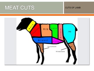 CUTS OF LAMB
 