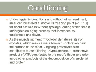  Under hygienic conditions and without other treatment,
meat can be stored at above its freezing point (–1.5 °C)
for about six weeks without spoilage, during which time it
undergoes an aging process that increases its
tenderness and flavor.
 As the muscle pigment myoglobin denatures, its iron
oxidates, which may cause a brown discoloration near
the surface of the meat. Ongoing proteolysis also
contributes to conditioning. Hypoxanthine, a breakdown
product of ATP, contributes to the meat's flavor and odor,
as do other products of the decomposition of muscle fat
and protein
 