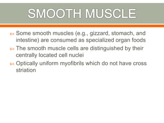  Some smooth muscles (e.g., gizzard, stomach, and
intestine) are consumed as specialized organ foods
 The smooth muscle cells are distinguished by their
centrally located cell nuclei
 Optically uniform myofibrils which do not have cross
striation
 
