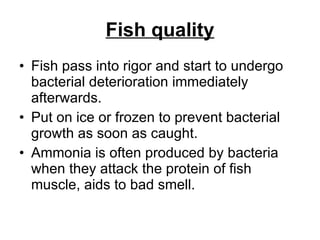 Fish quality Fish pass into rigor and start to undergo bacterial deterioration immediately afterwards.  Put on ice or frozen to prevent bacterial growth as soon as caught. Ammonia is often produced by bacteria when they attack the protein of fish muscle, aids to bad smell. 