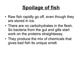 Spoilage of fish Raw fish rapidly go off, even though they are stored in ice.  There are no carbohydrates in the flesh. So bacteria from the gut and gills start work on the proteins straightaway.  They produce the mix of chemicals that gives bad fish its unique smell. 