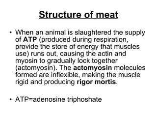 Structure of meat When an animal is slaughtered the supply of  ATP  (produced during respiration, provide the store of energy that muscles use) runs out, causing the actin and myosin to gradually lock together (actomyosin). The  actomyosin  molecules formed are inflexible, making the muscle rigid and producing  rigor mortis . ATP=adenosine triphoshate 