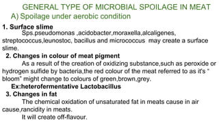 GENERAL TYPE OF MICROBIAL SPOILAGE IN MEAT
A) Spoilage under aerobic condition
Sps.pseudomonas ,acidobacter,moraxella,alcaligenes,
streptococcus,leunostoc, bacillus and micrococcus may create a surface
slime.
2. Changes in colour of meat pigment
As a result of the creation of oxidizing substance,such as peroxide or
hydrogen sulfide by bacteria,the red colour of the meat referred to as it's “
bloom” might change to colours of green,brown,grey.
Ex:heterofermentative Lactobacillus
3. Changes in fat
The chemical oxidation of unsaturated fat in meats cause in air
cause,rancidity in meats.
It will create off-flavour.
1. Surface slime
 