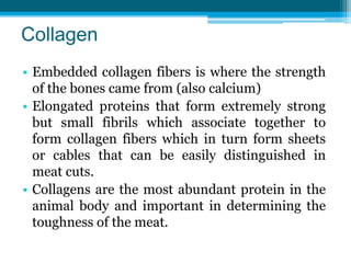 Collagen
• Collagen fibers shrink in hot water and are
converted to gelatin. At around 65°C, the
helical structure of coll...