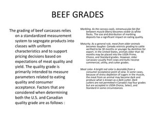BEEF GRADING 
• Fat color. Consumers prefer fat that is white rather than a 
shade of yellow. Yellow fat is not considered...