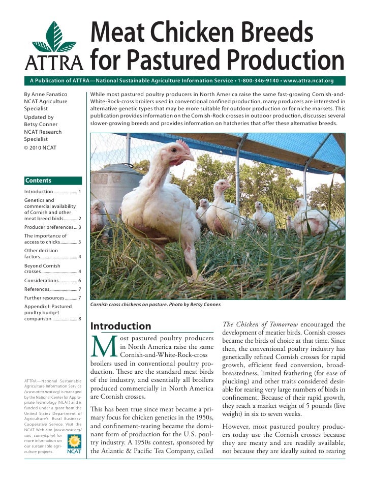 Meat Chicken Breeds for Pastured Production