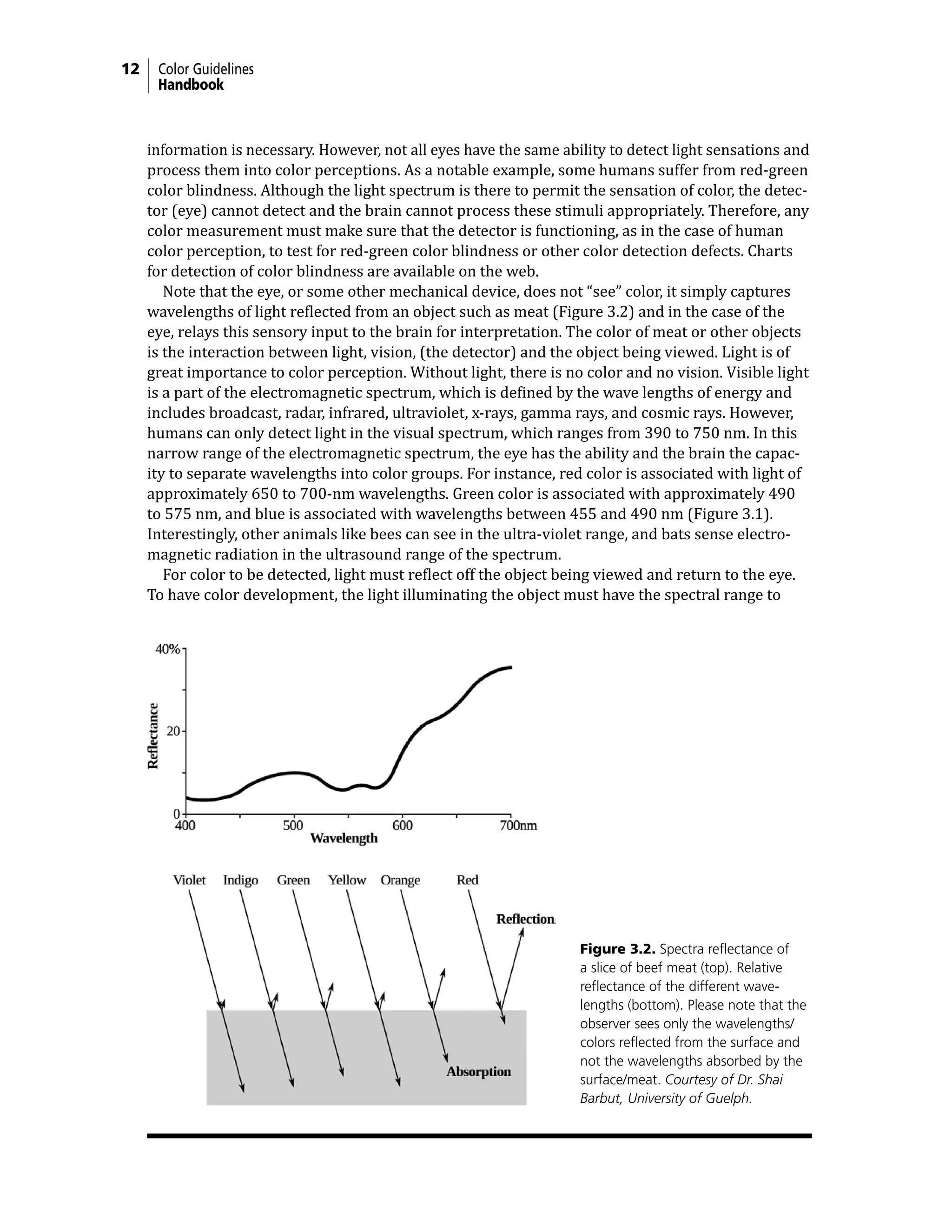Meat Color Measurment Guidelines | PDF
