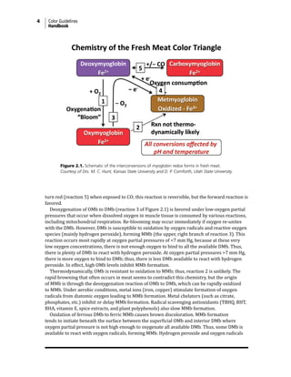 4 Color Guidelines
Handbook
turn red (reaction 5) when exposed to CO; this reaction is reversible, but the forward reaction is
favored.
Deoxygenation of OMb to DMb (reaction 3 of Figure 2.1) is favored under low-oxygen partial
pressures that occur when dissolved oxygen in muscle tissue is consumed by various reactions,
including mitochondrial respiration. Re-blooming may occur immediately if oxygen re-unites
with the DMb. However, DMb is susceptible to oxidation by oxygen radicals and reactive oxygen
species (mainly hydrogen peroxide), forming MMb (the upper, right branch of reaction 3). This
reaction occurs most rapidly at oxygen partial pressures of <7 mm Hg, because at these very
low oxygen concentrations, there is not enough oxygen to bind to all the available DMb. Thus,
there is plenty of DMb to react with hydrogen peroxide. At oxygen partial pressures >7 mm Hg,
there is more oxygen to bind to DMb; thus, there is less DMb available to react with hydrogen
peroxide. In effect, high OMb levels inhibit MMb formation.
Thermodynamically, OMb is resistant to oxidation to MMb; thus, reaction 2 is unlikely. The
rapid browning that often occurs in meat seems to contradict this chemistry, but the origin
of MMb is through the deoxygenation reaction of OMb to DMb, which can be rapidly oxidized
to MMb. Under aerobic conditions, metal ions (iron, copper) stimulate formation of oxygen
radicals from diatomic oxygen leading to MMb formation. Metal chelators (such as citrate,
phosphates, etc.) inhibit or delay MMb formation. Radical scavenging antioxidants (TBHQ, BHT,
BHA, vitamin E, spice extracts, and plant polyphenols) also slow MMb formation.
Oxidation of ferrous DMb to ferric MMb causes brown discoloration. MMb formation
tends to initiate beneath the surface between the superficial OMb and interior DMb where
oxygen partial pressure is not high enough to oxygenate all available DMb. Thus, some DMb is
available to react with oxygen radicals, forming MMb. Hydrogen peroxide and oxygen radicals
Figure 2.1. Schematic of the interconversions of myoglobin redox forms in fresh meat.
Courtesy of Drs. M. C. Hunt, Kansas State University and D. P. Cornforth, Utah State University.
 