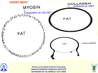 Division of Livestock Products Technology
INDIAN VETERINARY RESEARCH INSTITUTE
IZATNAGAR-243 122, BAREILLY (U.P.) INDIA
SHORT MEAT
Gelatinize at 1480
F
Coagulation at 135-1550F
 