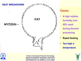 Division of Livestock Products Technology
INDIAN VETERINARY RESEARCH INSTITUTE
IZATNAGAR-243 122, BAREILLY (U.P.) INDIA
Cause:
• A high relative
humidity over
40% used
during thermal
processing
• Rapid Heating
• Too high a
temperature
HEAT BREAKDOWN
 
