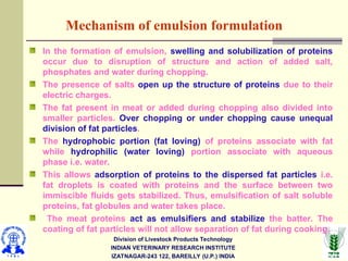 Division of Livestock Products Technology
INDIAN VETERINARY RESEARCH INSTITUTE
IZATNAGAR-243 122, BAREILLY (U.P.) INDIA
Mechanism of emulsion formulation
In the formation of emulsion, swelling and solubilization of proteins
occur due to disruption of structure and action of added salt,
phosphates and water during chopping.
The presence of salts open up the structure of proteins due to their
electric charges.
The fat present in meat or added during chopping also divided into
smaller particles. Over chopping or under chopping cause unequal
division of fat particles.
The hydrophobic portion (fat loving) of proteins associate with fat
while hydrophilic (water loving) portion associate with aqueous
phase i.e. water.
This allows adsorption of proteins to the dispersed fat particles i.e.
fat droplets is coated with proteins and the surface between two
immiscible fluids gets stabilized. Thus, emulsification of salt soluble
proteins, fat globules and water takes place.
The meat proteins act as emulsifiers and stabilize the batter. The
coating of fat particles will not allow separation of fat during cooking.
 
